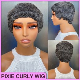 Malaysische, peruanische, indische, brasilianische Weingrau-Perücke im neuen Stil, 100 % rohes, reines Remy-Echthaar, Pixie-Locken, normale kurze Pony-Perücke