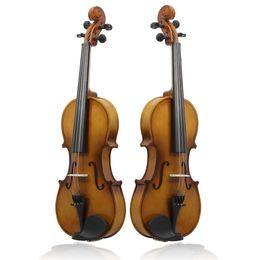 Nuevo estilo, especificación antigua de plástico, violín 4/4, material finamente pulido, antigüedad profesional para principiantes de alta calidad con caja