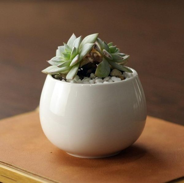 Nouveaux pots de plantes succulentes décoratifs à la mode, mini pots de fleurs blancs simples, jardinières, plantes succulentes en pot sur le bureau SN1874