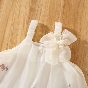 Nieuwe zomer voor babymeisjes met linten verfraait bloemen borduurwerk lint pompadour jurken