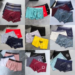 Nieuwe zomer herenonderbroek Designer katoenen comfortabele boxers Sexy herenslips boxed onderbroek