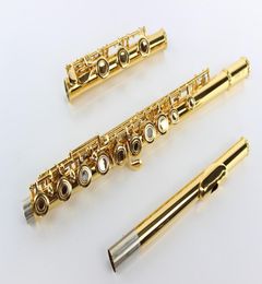 Nouveau logo Suzuki Coper Gold Flute plaqué 17 trous ouverts Flûte métal