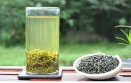 Nouveau thé 250g sacs printemps alpine brouillard thé spécial grade de thé Nouveau thé vert thé biologique 6371725