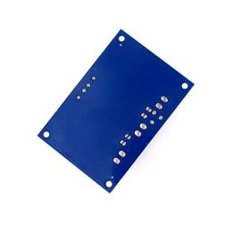 NOUVEAU TPA3116 D2 TPA3116DA DC 12V 24V 100W Mono Channel Digital Power Audio Amplificateur Board TPA3116D2 BOARCHE DE LA CAPACITÉ POUR TPA3116DA MONO