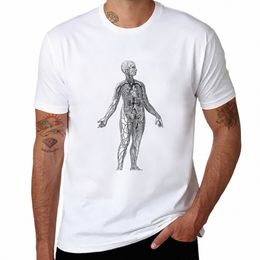 Nuevo diagrama del sistema venoso: camiseta de anatomía vintage, camisetas en blanco, camisetas personalizadas, camisetas lisas, hombres b1or #