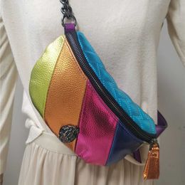 Nouveau sac de taille couleur patchwork handbag contraste arc-en-ciel crossbody Eagle Head Rainbow Kurt Handbag Sacs 240410