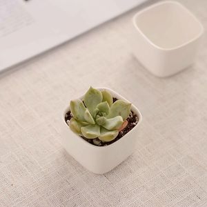 Nouveau blanc minimaliste créatif zakka mini Pots succulents en céramique bureau bonsaï planteur Pots de fleurs fournitures de jardin