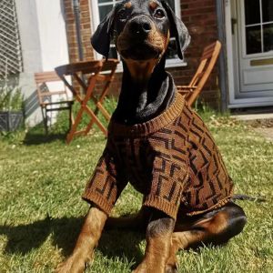 Nouvelle vêtements pour chiens hiver