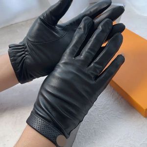 Nieuwe Winter Lederen Schapenvacht Handschoenen Designer Kasjmier Voering Wanten Mode Outdoor Mannen Warme Handschoen Met Doos G2310255Z