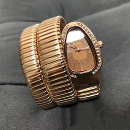NIEUWE Women Luxury Watch Quartz Ladies Gold Watch horloges hoogwaardige 32 mm legering Silver Watchstrap Diamond Bezel Casual Modern Dress Fashion Snake Polship