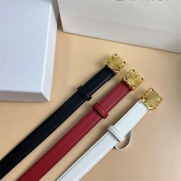 Nouvelle ceinture fine pour femmes de 2,5 cm populaire sur Internet, le même style que Luo Wei, jupe manteau basse, ceinture parfaitement assortie pour les femmes