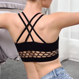 Nouveaux réservoirs pour femmes Camis Lingerie sexy Ceinture à bordure creuse Gilet sans anneau en acier Sous-vêtements respirants sans couture Beau dos Soutien-gorge de sport pour femmes