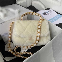 Nouveau sac d'oreiller en laine 22B sac fourre-tout design 10A sac de fourrure de poche de haute qualité sac à chaîne à bandoulière diagonale croisée en diamant pour femmes