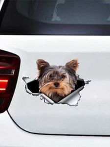 New Yorkshire Terrier Pet Dog Styling Sigina de personalidad Torn Metal Vinyl Decal Pegatinas de automóvil de animales Ventana R230812