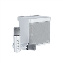 Nouveau YS203 100w haut-parleur Bluetooth sans fil haute puissance Microphone Portable caisson de basses Boom Box fête de famille en plein air boîte de karaoké vente