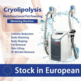 Beste resultaat Nieuwe Draagbare Cryolipolysis Vet Vriezing Slimming Machine Cryotherapie ultrasone RF Liposuctie Lipo Laser RF-Machine