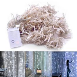 DÉCESSION DES CONCEPTION DES plus récents 300 Light White Light Romantic Christmas Decoration Decoration Curtain Light 110V High Lumingness LED Strings 192W