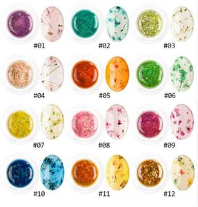 Le plus récent bricolage naturel séché fleur fée vernis à ongles Floral tremper manucure UV Nail Art Gel Glue1058008