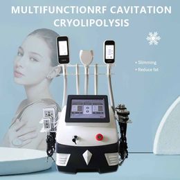 Machine de congélation des graisses 360 Cryo Cryolipolysis Criolipolisis Enlèvement de la graisse du ventre Levage des fesses 360 Cryothérapie Caviation sous vide Lipolaser Minceur