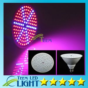 Le plus récent éclairage hydroponique 85-265V 15W E27 ROUGE BLEU SMD 126 LEDS Hydroponic LED Flowering Plant Grow Lights led ampoule LED light lamp 10