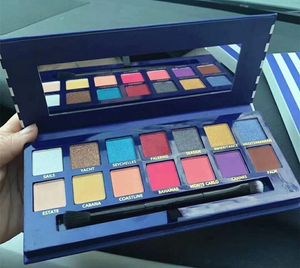 Nouvelle palette de maquillage Hot Brand 14 couleurs Palette d'ombres à paupières chatoyantes Couleurs de matière Haute qualité Expédition DHL