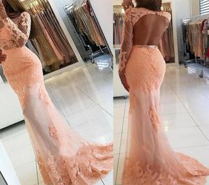 Nieuwste zeemeermin kanten appliques lange mouw hoge nek prom -jurk champagne zie door zeemeermin avondjurk vestido formatura4573959