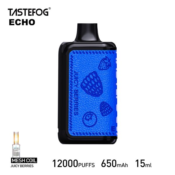 Le plus récent Tastefog original Echo Disposable Vape Pen12000 Puff 15ml 650mAh E-cigarette Puff 12000 2% 12 VAPES SLAVORS AVEC LA CONTRÔLE DE FLOW AIR ET ÉCRAN