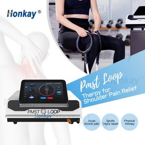 La nouvelle boucle PMST PEMF pour l'homme et les animaux Soulagement de la douleur Arthrite Sports Blessures Muscle RELOST Physio Magnéto Machine Horse Health Care PEMF Dispositif