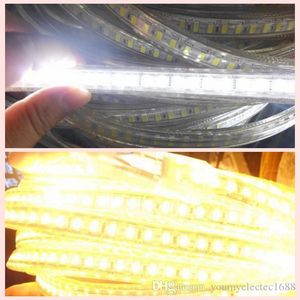 Umlight1688 20 50 100 M Cool White High Power SMD5730 Flexibele LED Strip Touw Lichten Aangepaste Cuttable Energiebesparing 110V 120V 220 V Cool White