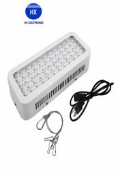 Luz LED de cultivo de espectro completo de 600W, luces LED de doble Chip de 600W, lámpara para plantas de interior para floración y crecimiento 4884163