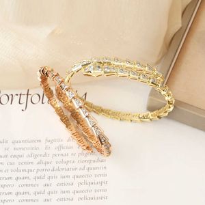 Les bracelets nouvellement conçus se vendent comme un bracelet de serpent créatif et polyvalent de gâteaux chauds avec des femmes personnalisées avec des femmes personnalisées avec un logo original
