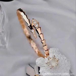 Les bracelets nouvellement conçus se vendent comme des gâteaux chauds bracelet de serpent féminin luxueux plaqué avec de l'or rose 18 km avec un logo original bulgarly