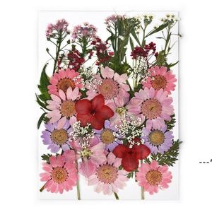 Sacs de sachets Fleurs séchées pressées naturelles Plantes sèches artificielles décoratives pour accessoires de bricolage Nail Craft Phone Case Pendentif RRE11415