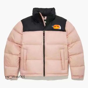 Nf0a3c8d Heren donsjassen Jassen Designer Puffer Jacket Peak Paars ROOD VIOLET Unisex Lange Mouw Capuchon 700 Opvulbare Opbergbare Kap 17