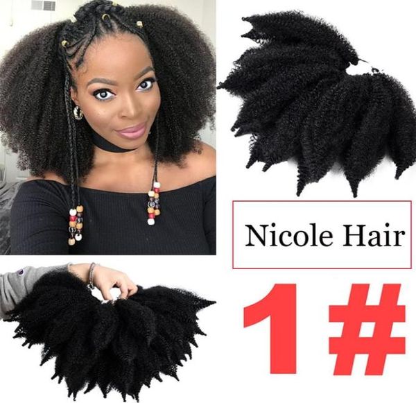 Nicole 8 pouces Crochet Marley Traids Black Brown Bug Couleur Cheveux Soft Afro Synthétique Tressage Extensions Haute Température 6077148