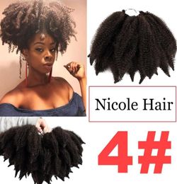 Nicole Synthetic Afro Kinky Marly Braids Crochet Hair Extensions 14 Rootspc Fibra de alta temperatura Marley Braid 6419909