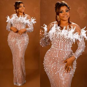Nigeria Plus Size Aso Ebi prom -jurken Lange avondjurken voor speciale gelegenheden lange mouwen pure nek parels gevederde kralen kant tweede receptie jurken am476