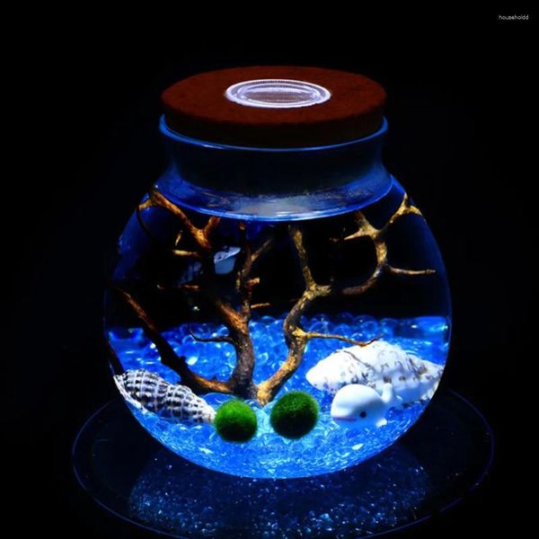 Veilleuses 11 cm Terrarium de pot en verre rond avec lumière LED colorée Cork Micro Paysage Bouteille écologique
