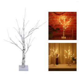 Nachtverlichting 24 LED BERK TROOM LICHT KRIJKTE TAKKEN LAMP VOOR HOME Holiday Festival Party Tabletop Indoor middelpunt Decoratie