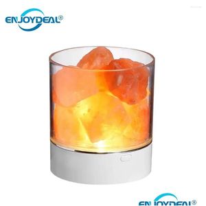 Nachtverlichting kristal natuurlijke zoutlamp usb led mticolor licht tafel lava -lampen voor slaapkamer bedmakingsarmaturen huizen drop levering dhe5g