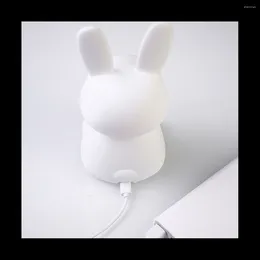 Lights Night LED Light Animal Cartoon Silicone Lamp Dimmable USB RECHARAGET des enfants Sleeping Birthday Gift