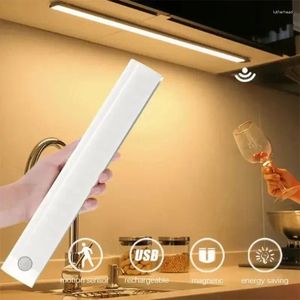 Lumières de nuit Capteur de mouvement PIR LED sous la lampe de l'armoire Dimmable Lumière rechargeable Escaliers Placard Allée Tube Bar Détecteur Ampoule