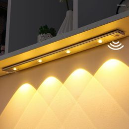 Nachtlichten USB LED LICHT Bewegingssensor Wireless slaapkamerlamp keuken woonkamer wijnkast garderobe indoor verlichting decoratie