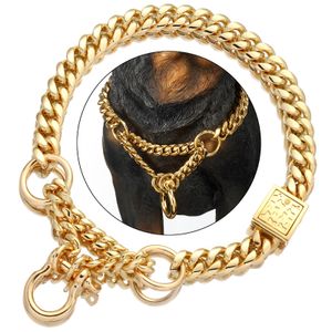 NIKPET Gold Color Dog Martingale Collar Metal Chain Choke con diseño Secure Buckle, Cuban Link Strong Chew Proof LJ201109
