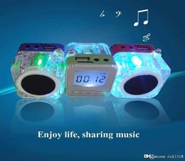 Nizhi TT028 Haut-parleurs portables TT028 Caisson de basses LED Écran LCD en cristal Mini Musique Lecteur MP3 Haut-parleurs FM SD TF Carte Christm5560302