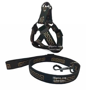 Ensemble harnais et laisses pour chien sans traction, motif bronzant classique, colliers réglables pour chien, laisse, ceinture de sécurité pour chiens de petite, moyenne et grande taille, chat, berger, bouledogue, L B78