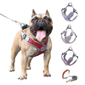 No Pull Dog Harness Vest Reflecterende Small Leash and Collar for Terrier Schnauzer Pet Cat Walking Training Supplies Chihuahua