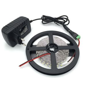 Niet-waterdichte LED-strip 300 leds 5m 2835 WARM WIT Koel wit ROOD GEEL GROEN BLAUW lichtstrips 12v2a Voedingsadapter EU US AU PL195E