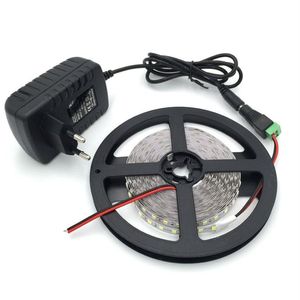 Niet-waterdichte LED-strip 300 leds 5m 2835 WARM WIT Koel wit ROOD GEEL GROEN BLAUW lichtstrips 12v2a Voedingsadapter EU US AU PL221Y