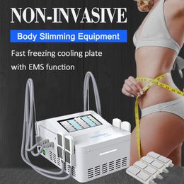 Système de cryothérapie Cryo EMS Body Contouring Burning Fat Machine Stimulation musculaire électrique Améliorer le métabolisme